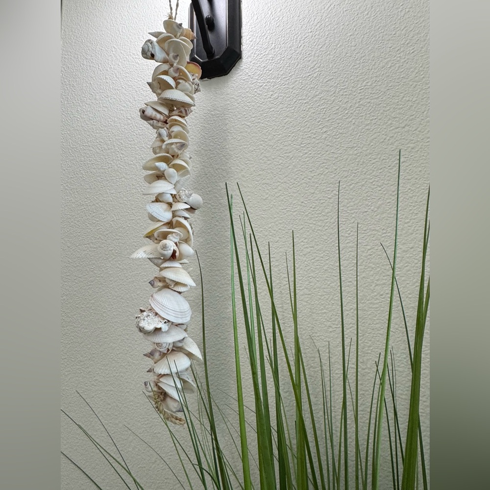 Home/Coastal seashell strand. 22 inches
